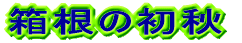 ̏H